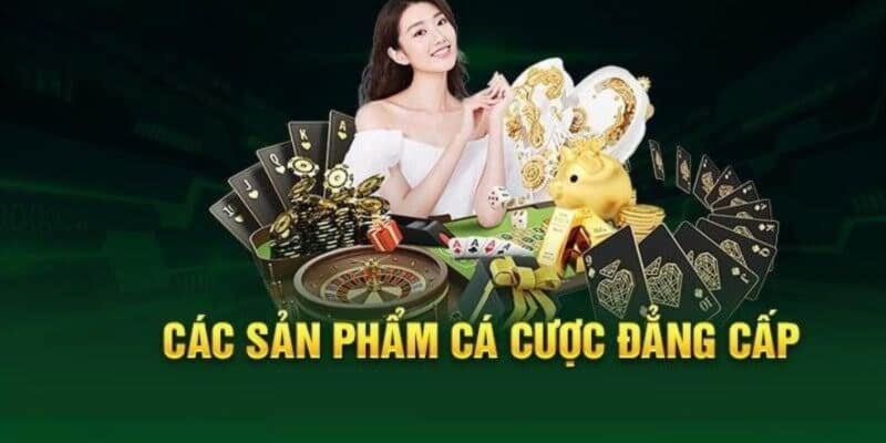 7 trò cá cược đẳng cấp nhất