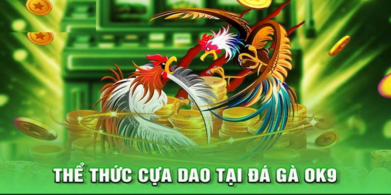 Đá gà OK9 mang đến trận đấu kịch tính, nghẹt thở
