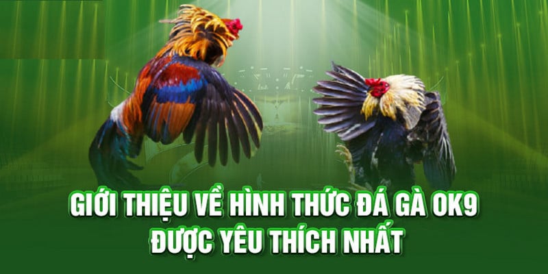 Loại hình cá cược hấp dẫn hàng đầu tại OK9