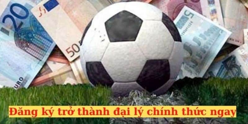 Nhận hoa hồng hàng tháng